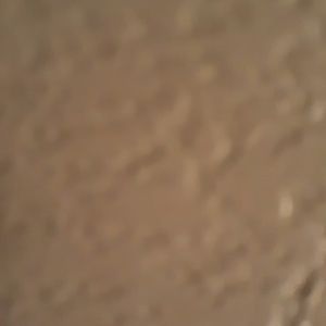 Meet your Posher, Julian